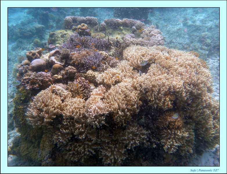 209   07   Sibuan 23